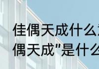 佳偶天成什么意思　“珠联璧合”、“佳偶天成”是什么意思