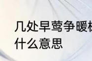 几处早莺争暖树，谁家新燕啄春泥是什么意思