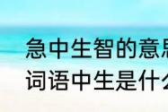 急中生智的意思解释一下　急中生智词语中生是什么意思