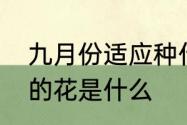 九月份适应种什么草喂鱼　代表暗恋的花是什么