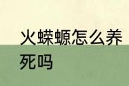 火蝾螈怎么养　火蝾螈一直在水里会死吗