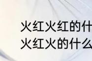 火红火红的什么填词语一年级下册　火红火的什么填词语