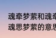 魂牵梦萦和魂牵梦绕的意思是一样吗　魂思梦萦的意思