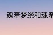 魂牵梦绕和魂牵梦萦的区别的读音