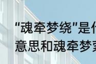 “魂牵梦绕”是什么意思　魂牵梦绕的意思和魂牵梦萦的意思一样吗