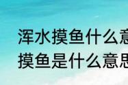 浑水摸鱼什么意思　成语词典中浑水摸鱼是什么意思