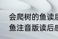 会爬树的鱼读后感一年级　会爬树的鱼注音版读后感