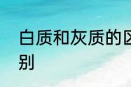 白质和灰质的区别　白质和灰质的区别