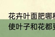 花卉叶面肥哪种好　养花施什么肥能使叶子和花都更漂亮