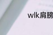 wlk肩膀附魔哪里换