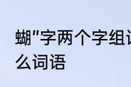 蝴”字两个字组词如何组　蝴可以组什么词语