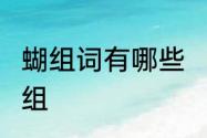 蝴组词有哪些　蝴”字两个字组词如何组