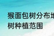 猴面包树分布地区气候特征　猴面包树种植范围