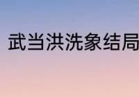 武当洪洗象结局　洪洗象为什么叛变