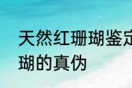 天然红珊瑚鉴定方法　怎样辨别红珊瑚的真伪