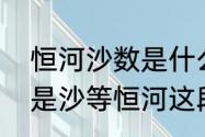 恒河沙数是什么意思　如恒河沙，如是沙等恒河这段话什么意思