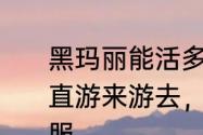 黑玛丽能活多久（寿命）　黑玛丽一直游来游去，是很高兴还是觉得不舒服