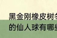 黑金刚橡皮树冬季能换盆吗　开大花的仙人球有哪些品种