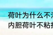 荷叶为什么不沾水呢三年级　美国锅内胆荷叶不粘技术是什么