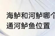 海鲈和河鲈哪个好吃　荒野大镖客2普通河鲈鱼位置