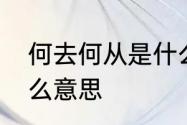 何去何从是什么意思　何去何从是什么意思