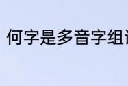 何字是多音字组词　何姓读音及意思