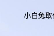 小白兔取什么名字好听