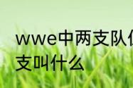 wwe中两支队伍一支叫做捍卫者另一支叫什么