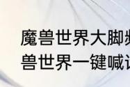 魔兽世界大脚频道喊话宏怎么写　魔兽世界一键喊话宏