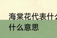 海棠花代表什么意思　海棠这名字有什么意思