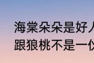 海棠朵朵是好人还是坏人　海棠朵朵跟狼桃不是一伙的