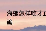 海螺怎样吃才正确　海螺怎样吃才正确