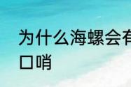 为什么海螺会有声音　海螺怎么做成口哨