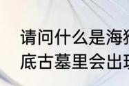 请问什么是海猴子　海猴子是什么海底古墓里会出现的海猴子