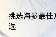 挑选海参最佳方法　海参干货怎么挑选