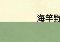 海竿野钓最佳方法