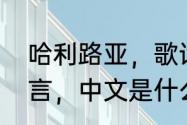 哈利路亚，歌词　哈利路亚是哪国语言，中文是什么意思啊