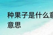 种果子是什么意思　乡下的果子是啥意思