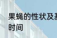 果蝇的性状及基因型　果蝇能活多长时间