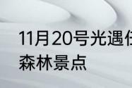 11月20号光遇任务怎么做　光遇幽暗森林景点