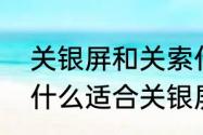 关银屏和关索什么关系　疾风骤雨为什么适合关银屏