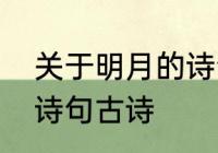 关于明月的诗句及意境　春风明月的诗句古诗