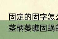 固定的固字怎么组词　占嫩顺均叠隙茎柄萎瞧固蜗的组词