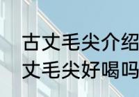 古丈毛尖介绍　古丈毛尖是什么茶古丈毛尖好喝吗