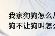 我家狗狗怎么从来不汪汪汪地叫　养狗不让狗叫怎么办