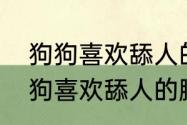 狗狗喜欢舔人的脚丫子是为什么　狗狗喜欢舔人的脚丫子是为什么