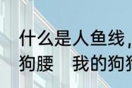 什么是人鱼线，爱之把，麒麟臂，公狗腰　我的狗狗腰老弓着