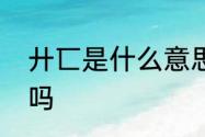 廾匸是什么意思　廾匸是正规的汉字吗