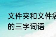 文件夹和文件袋的区别　文件夹相近的三字词语