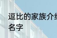 逗比的家族介绍　德康家族搞笑男人名字